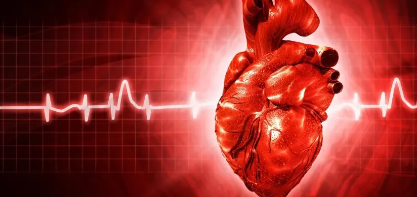 10 Types of Heart Disease Symptoms: Understanding Factors, Causes, and  Statistics